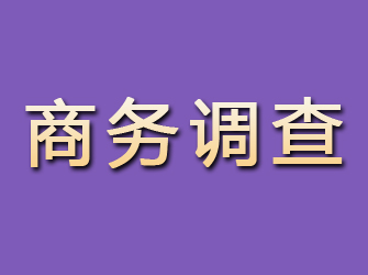 赤峰商务调查